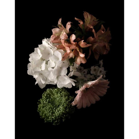 Midnight Hydrangea Black Modern Wood Framed Art Print by Greenwood, Julie