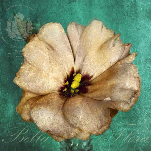 Bella Flora Black Modern Wood Framed Art Print with Double Matting by Atria, Cristin