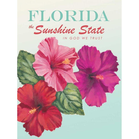 Sunshine State White Modern Wood Framed Art Print by Fabiano, Marco