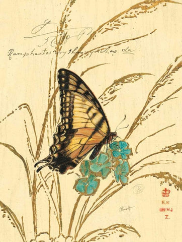 Natures Curiosities 1 White Modern Wood Framed Art Print with Double Matting by Barrett, Chad