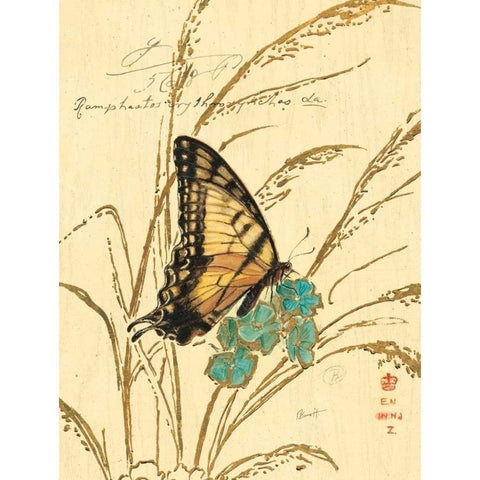 Natures Curiosities 1 White Modern Wood Framed Art Print by Barrett, Chad