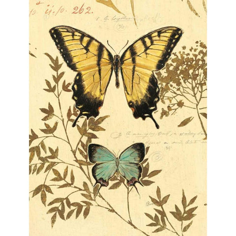 Natures Curiosities 6 Gold Ornate Wood Framed Art Print with Double Matting by Barrett, Chad