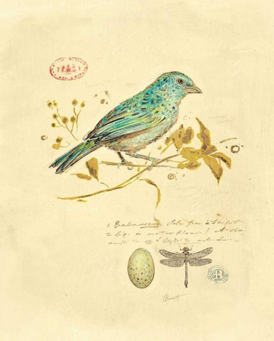 Gilded Songbird 1  Black Ornate Wood Framed Art Print with Double Matting by Barrett, Chad