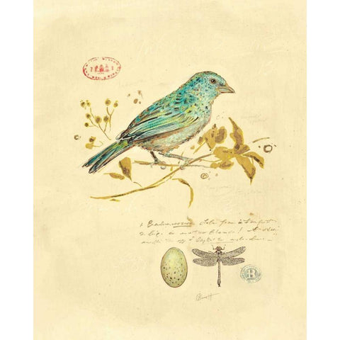 Gilded Songbird 1  White Modern Wood Framed Art Print by Barrett, Chad