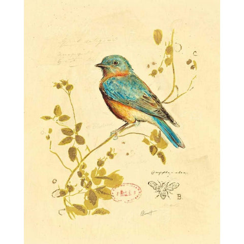 Gilded Songbird 4  White Modern Wood Framed Art Print by Barrett, Chad