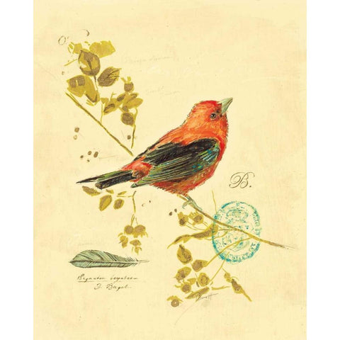 Gilded Songbird 3 Black Modern Wood Framed Art Print with Double Matting by Barrett, Chad