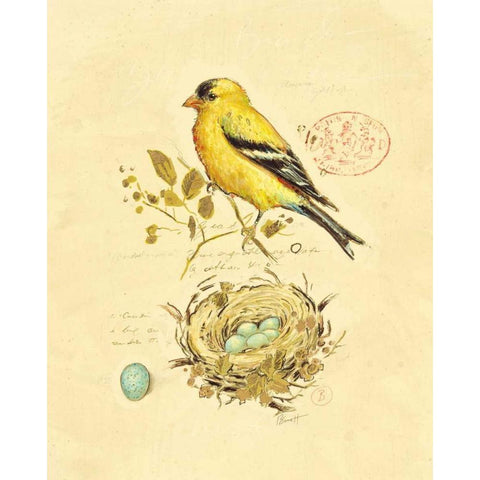 Gilded Songbird 2 Gold Ornate Wood Framed Art Print with Double Matting by Barrett, Chad