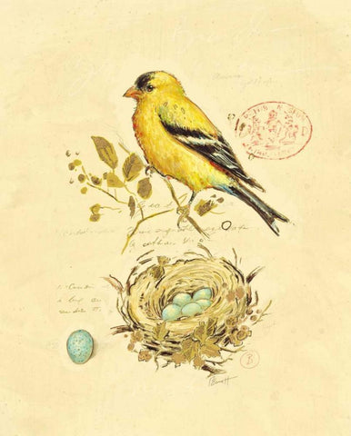 Gilded Songbird 2 Black Ornate Wood Framed Art Print with Double Matting by Barrett, Chad