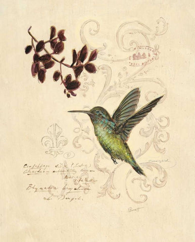 Filigree Hummingbird White Modern Wood Framed Art Print with Double Matting by Barrett, Chad