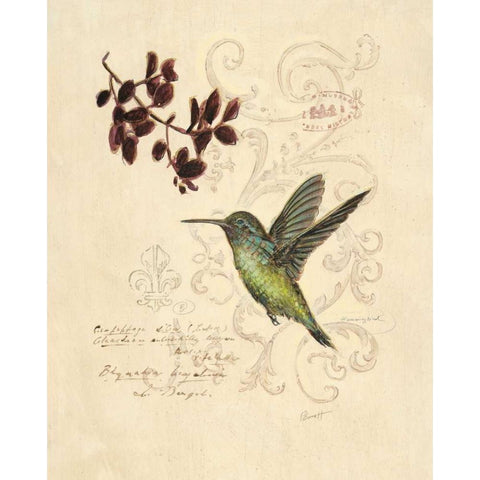 Filigree Hummingbird Black Modern Wood Framed Art Print by Barrett, Chad