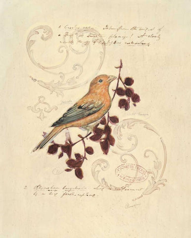 Filigree Songbird Black Ornate Wood Framed Art Print with Double Matting by Barrett, Chad