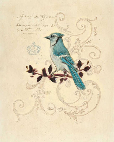 Filigree Jay White Modern Wood Framed Art Print with Double Matting by Barrett, Chad