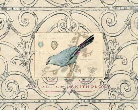 Songbird Etching 2 Black Ornate Wood Framed Art Print with Double Matting by Barreett, Chad