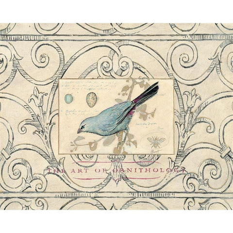 Songbird Etching 2 White Modern Wood Framed Art Print by Barreett, Chad