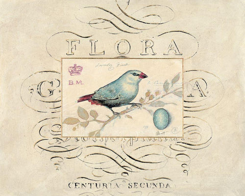 Songbird Etching 1 Black Ornate Wood Framed Art Print with Double Matting by Barreett, Chad