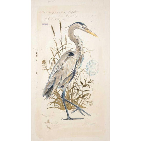 Great Blue Heron Black Modern Wood Framed Art Print with Double Matting by Barrett, Chad
