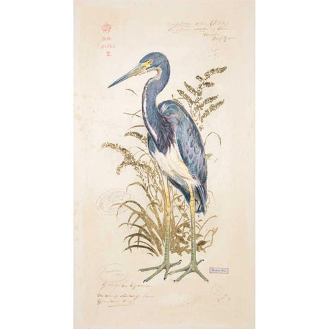 Tricolor Heron White Modern Wood Framed Art Print by Barrett, Chad