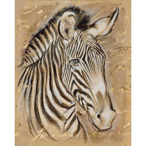 Safari Zebra Black Modern Wood Framed Art Print with Double Matting by Barrett, Chad
