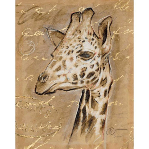 Safari Giraffe Black Modern Wood Framed Art Print with Double Matting by Barrett, Chad