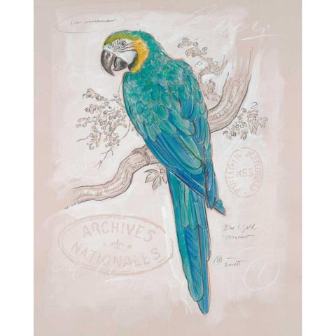 Aqua Tropical Gold Ornate Wood Framed Art Print with Double Matting by Barrett, Chad