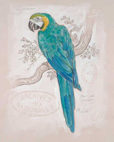 Aqua Tropical White Modern Wood Framed Art Print with Double Matting by Barrett, Chad