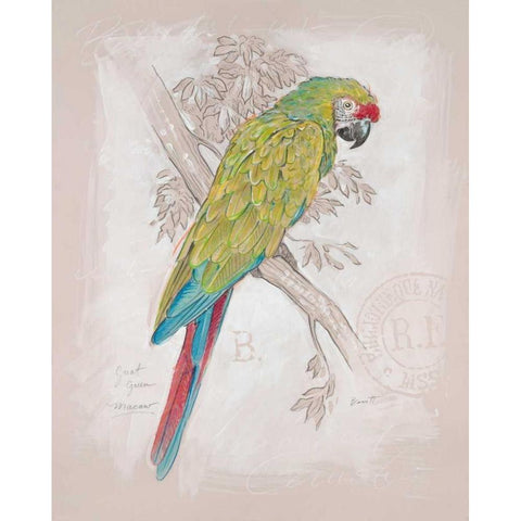 Chartreuse Tropical White Modern Wood Framed Art Print by Barrett, Chad