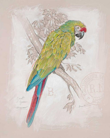 Chartreuse Tropical White Modern Wood Framed Art Print with Double Matting by Barrett, Chad