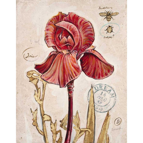 Ruby Collection 2 White Modern Wood Framed Art Print by Barrett, Chad