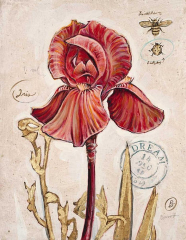 Ruby Collection 2 White Modern Wood Framed Art Print with Double Matting by Barrett, Chad