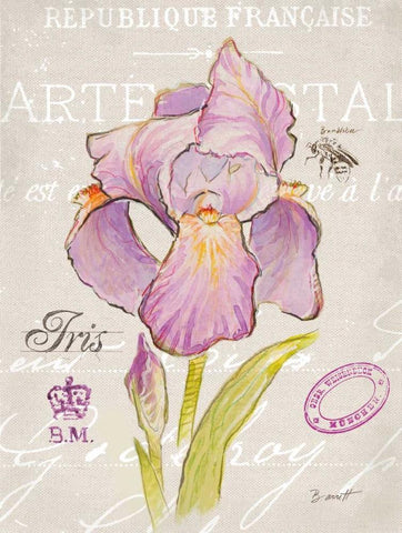 Sketchbook Iris White Modern Wood Framed Art Print with Double Matting by Barrett, Chad