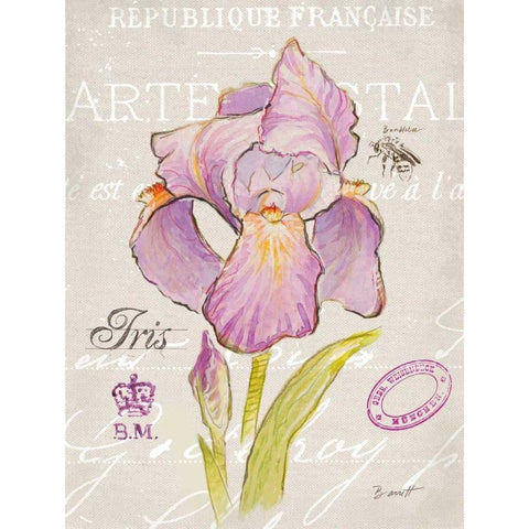 Sketchbook Iris White Modern Wood Framed Art Print by Barrett, Chad