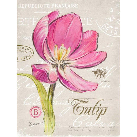 Sketchbook Tulip Black Modern Wood Framed Art Print with Double Matting by Barrett, Chad