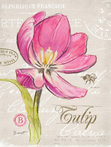 Sketchbook Tulip White Modern Wood Framed Art Print with Double Matting by Barrett, Chad
