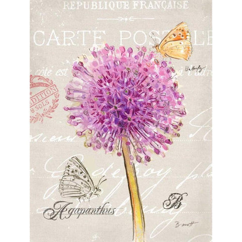 Sketchbook Agapanthus White Modern Wood Framed Art Print by Barrett, Chad