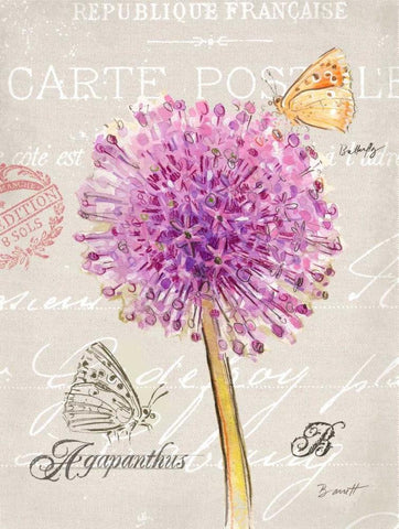 Sketchbook Agapanthus Black Ornate Wood Framed Art Print with Double Matting by Barrett, Chad