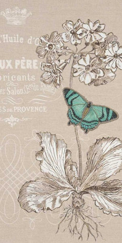 Primula White Modern Wood Framed Art Print with Double Matting by Barrett, Chad