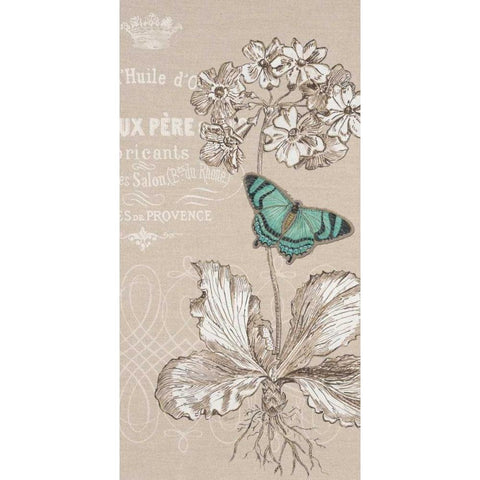 Primula Black Modern Wood Framed Art Print by Barrett, Chad