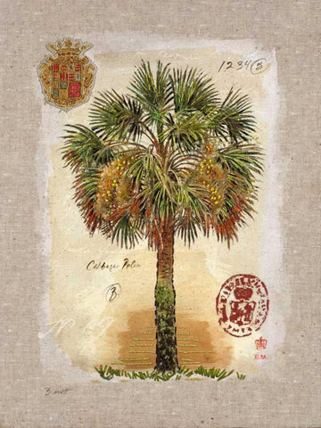 Linen Cabbage Palm Tree Black Ornate Wood Framed Art Print with Double Matting by Barrett, Chad