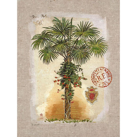 Linen Fan Palm Tree Black Modern Wood Framed Art Print by Barrett, Chad