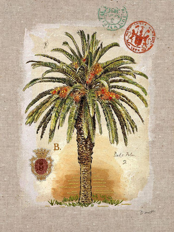 Linen Date Palm Tree Black Ornate Wood Framed Art Print with Double Matting by Barrett, Chad