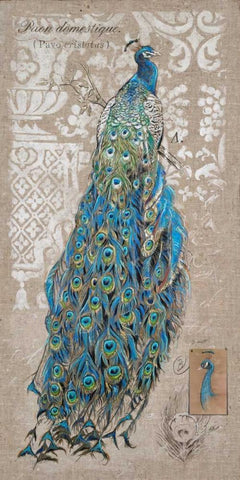 Peacock on Linen 1 White Modern Wood Framed Art Print with Double Matting by Barrett, Chad