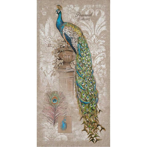 Peacock Linen 2 Black Modern Wood Framed Art Print with Double Matting by Barrett, Chad