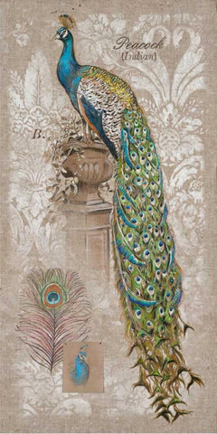 Peacock Linen 2 White Modern Wood Framed Art Print with Double Matting by Barrett, Chad