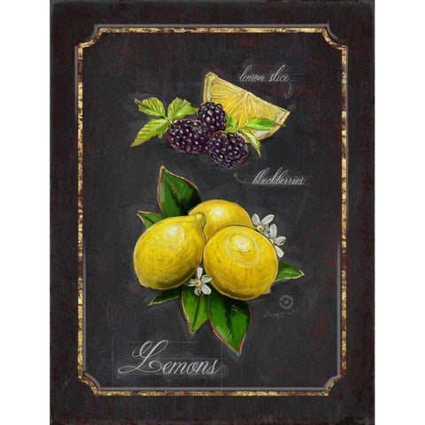 Heritage Lemons Black Modern Wood Framed Art Print with Double Matting by Barrett, Chad