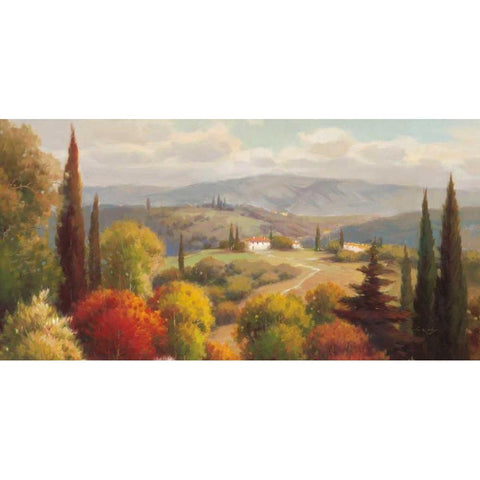 Tuscan Perspective Black Modern Wood Framed Art Print with Double Matting by Oxley, Vail