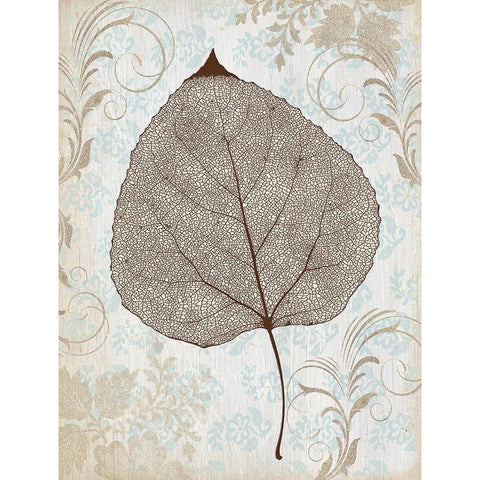 Lacecap White Modern Wood Framed Art Print by Cooley, Jan