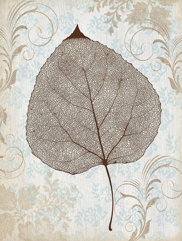 Lacecap Black Ornate Wood Framed Art Print with Double Matting by Cooley, Jan