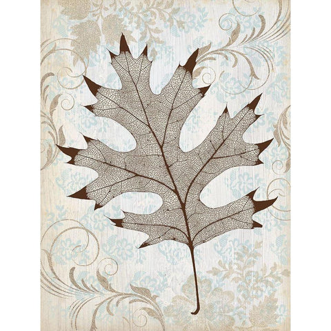 Tulip Sunrise Black Modern Wood Framed Art Print with Double Matting by McGannon, Jill Schultz