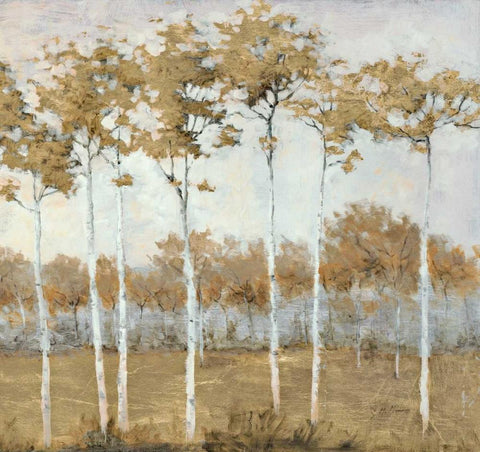 Autumns Gold 2 White Modern Wood Framed Art Print with Double Matting by Schultz McGannon