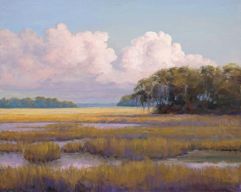 Big Sky Countryside Black Ornate Wood Framed Art Print with Double Matting by Schultz-McGannon, Jill